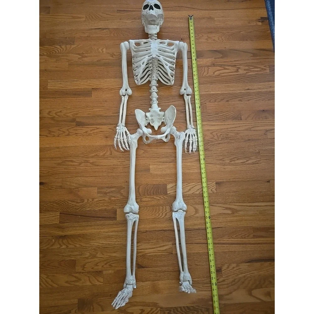 5 ft‎ Halloween Life Size Human Skeleton Poseable Bones Blue LED Light Eye